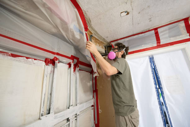 Best Mold Remediation for Healthcare Facilities  in Gulfport, FL