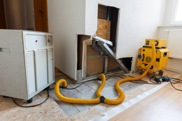 Best Post-Construction Mold Inspection  in Gulfport, FL